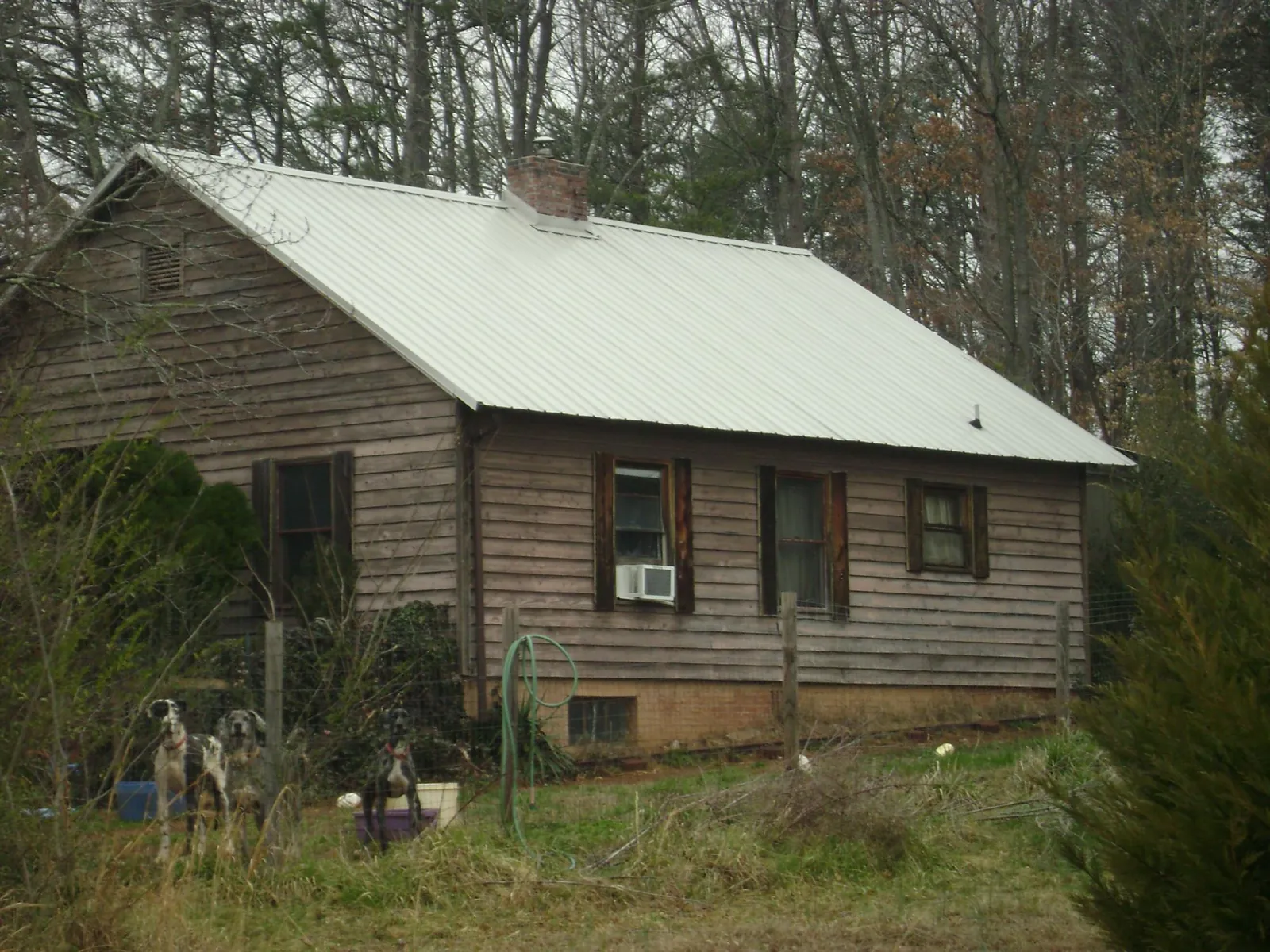White metal roof on an old wood sided farmhouse, from a Asphalt Shingle Roof Repair job in Picture Rocks